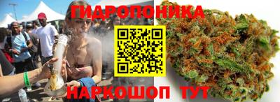 СК Рыбинск