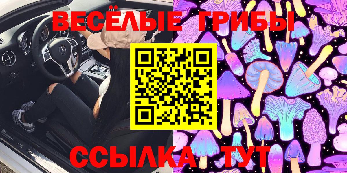 Псилоцибиновые грибы прущие грибы Родники