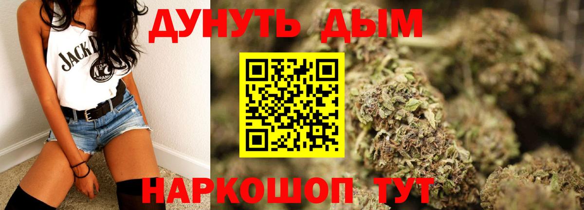 Конопля гибрид Родники